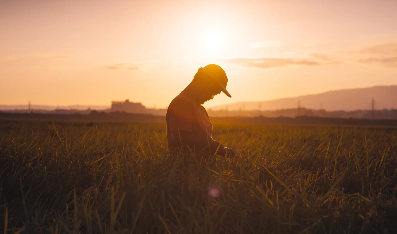 Tokito: the 540-day Journey of a Culinary Maverick