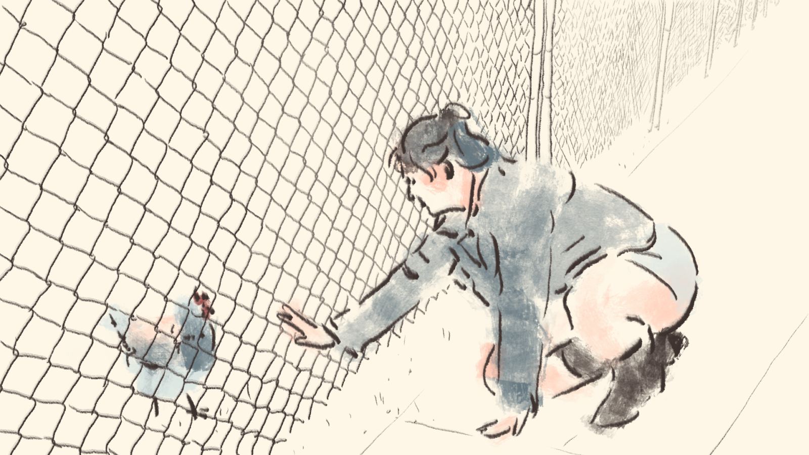 Chicken