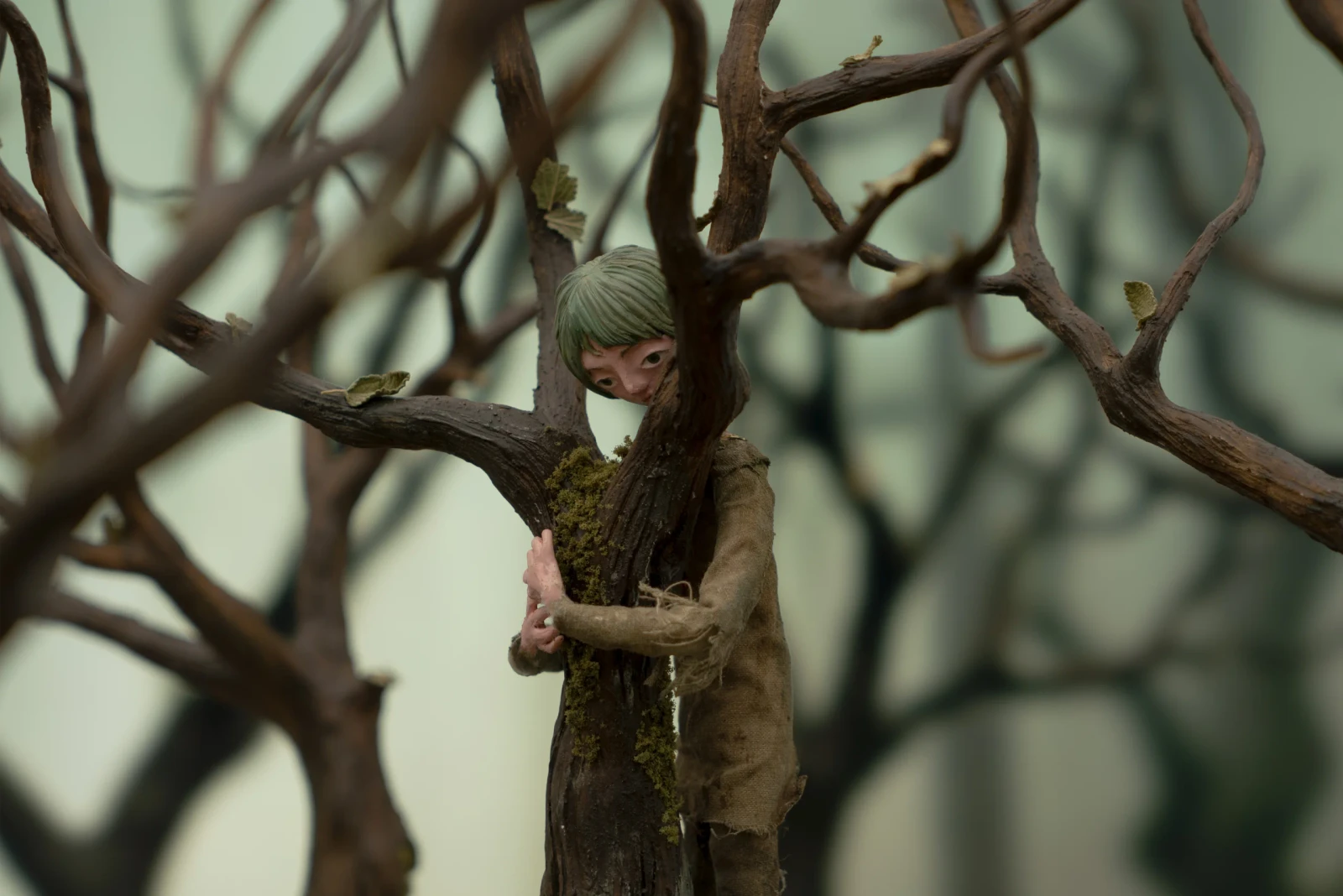Tree, Tree