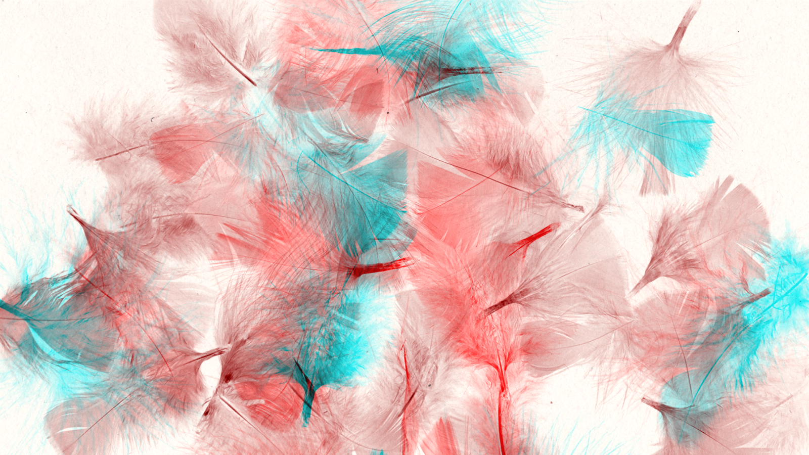 The Birds