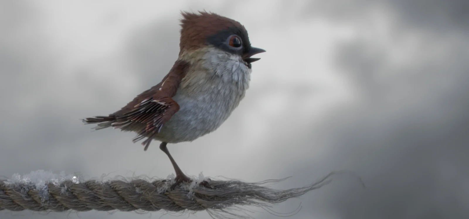 Tweet-Tweet