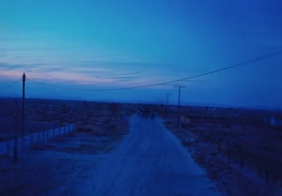 Dominic Fike - 'Mama's Boy'
