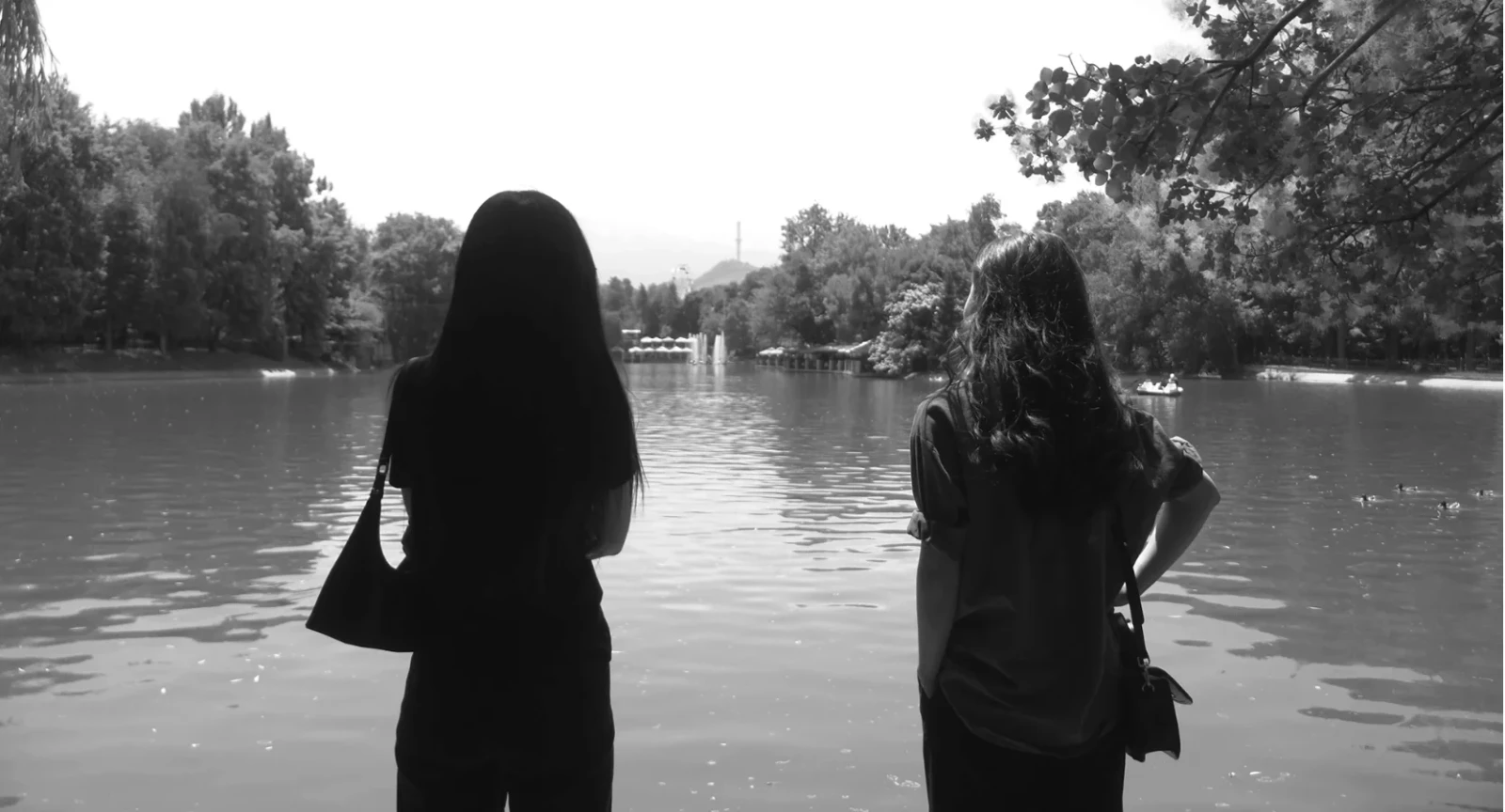 You were standing on the shore
