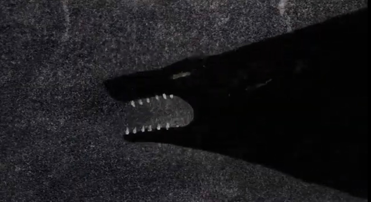 Among The Black Waves