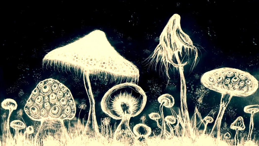 Vortex