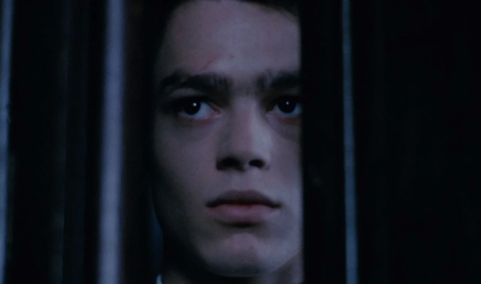 In a Glass Cage