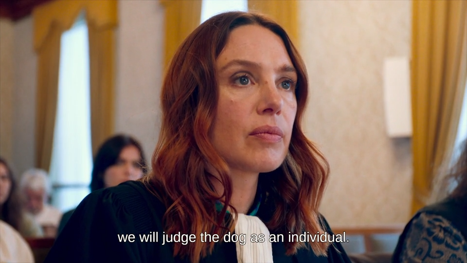 Dog on Trial