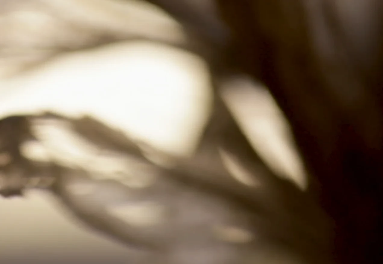 Letters #14 - Letter from: Marie-Rose Osta, film by: Rania Rafei