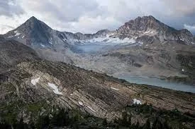 Wild Aerial