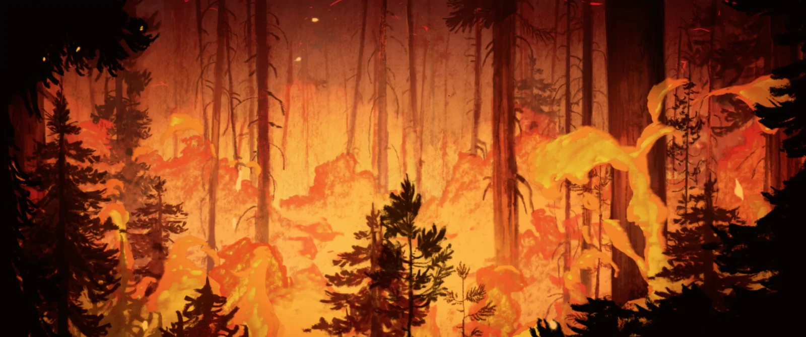 Wildfire
