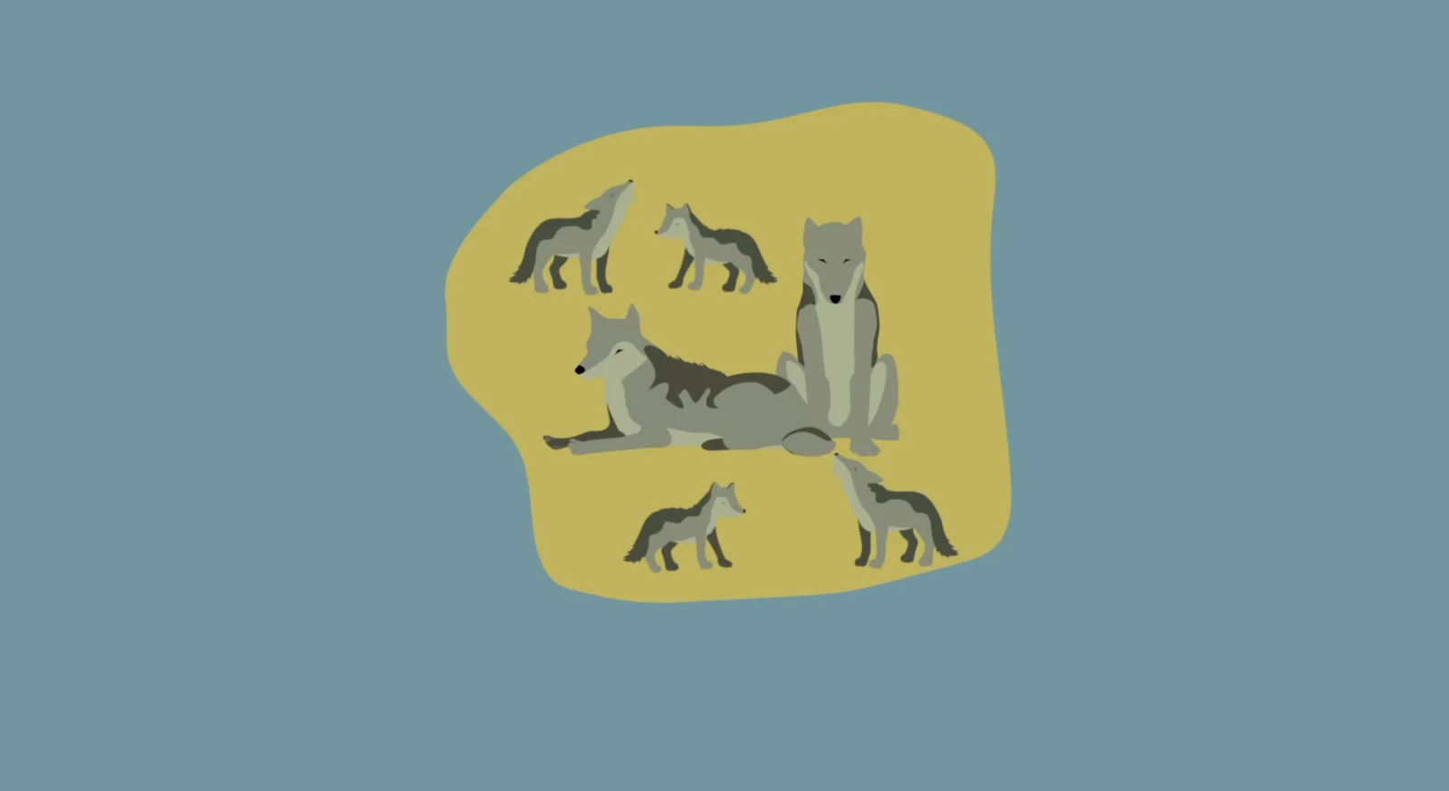 WOLVES IN SCANDINAVIA