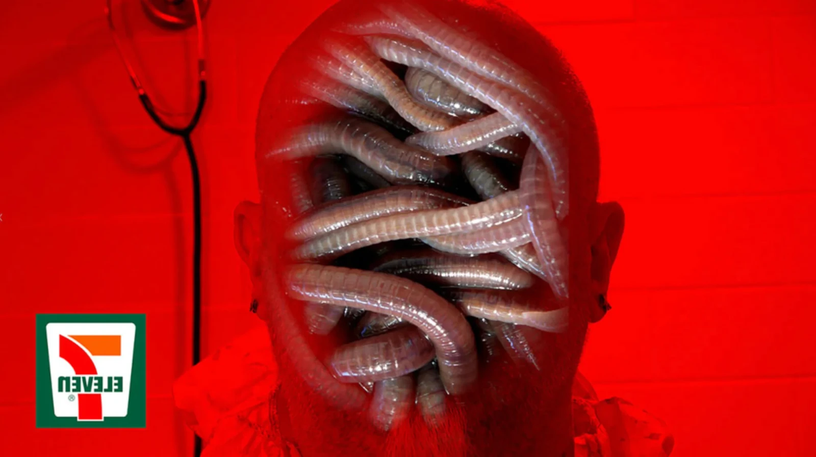 Worm Pornography