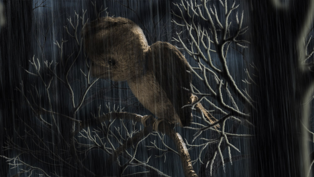 The Sparrow Who Knew How To Keep His Word
