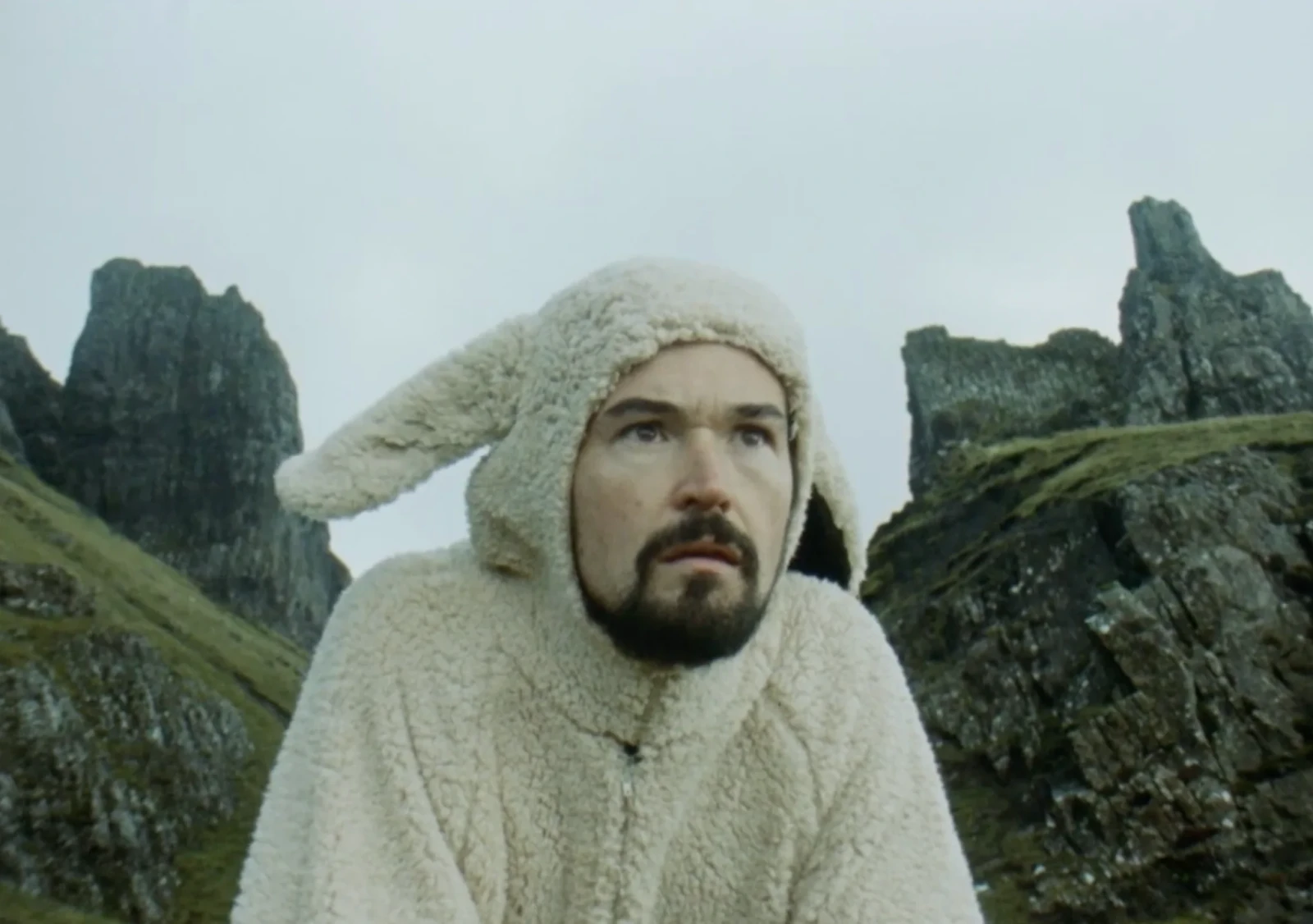 1 in 5 Sheep