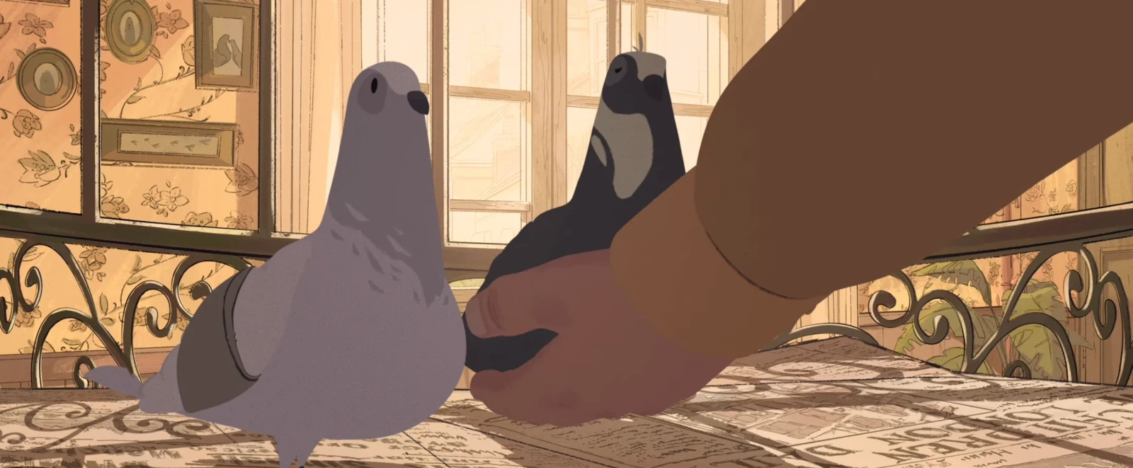 PIGEONS