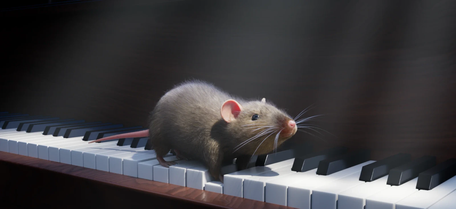 Maus Im Haus