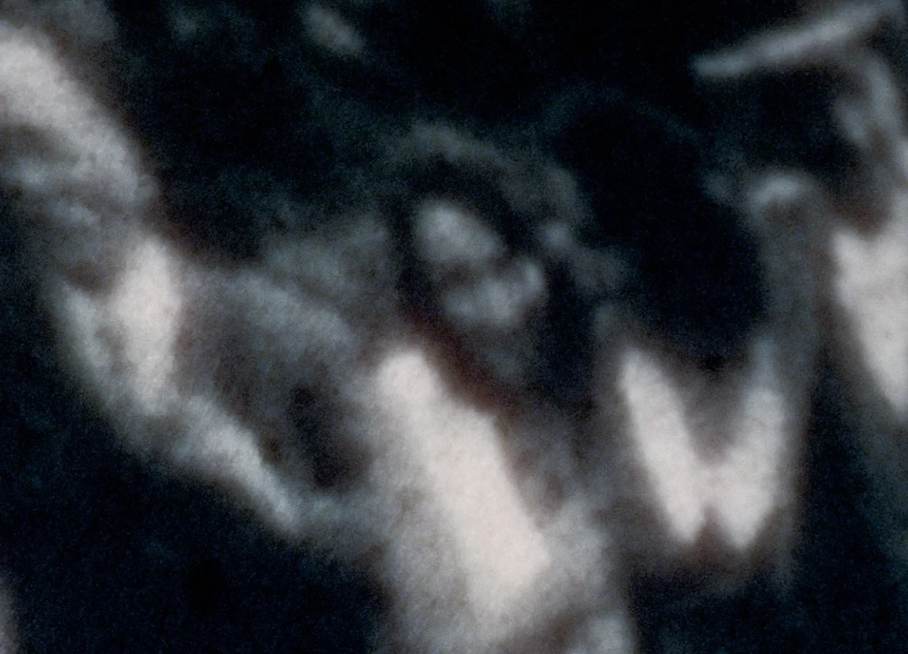 Lumières fossiles