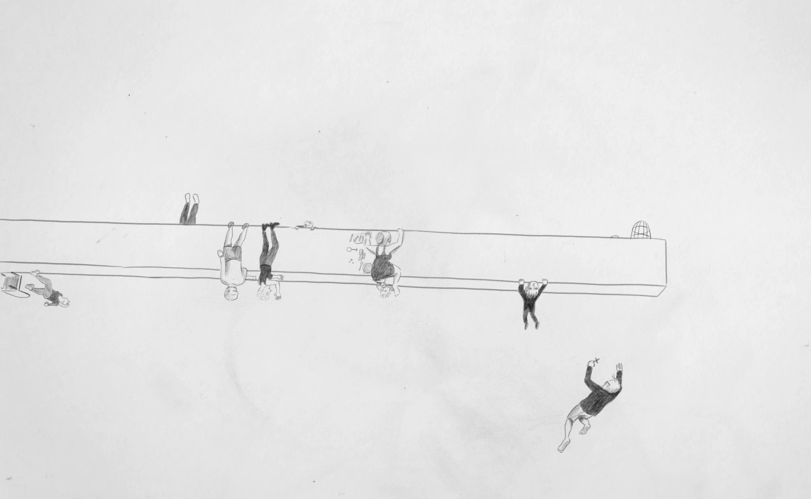 Chasing Birds