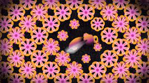 Blossom
