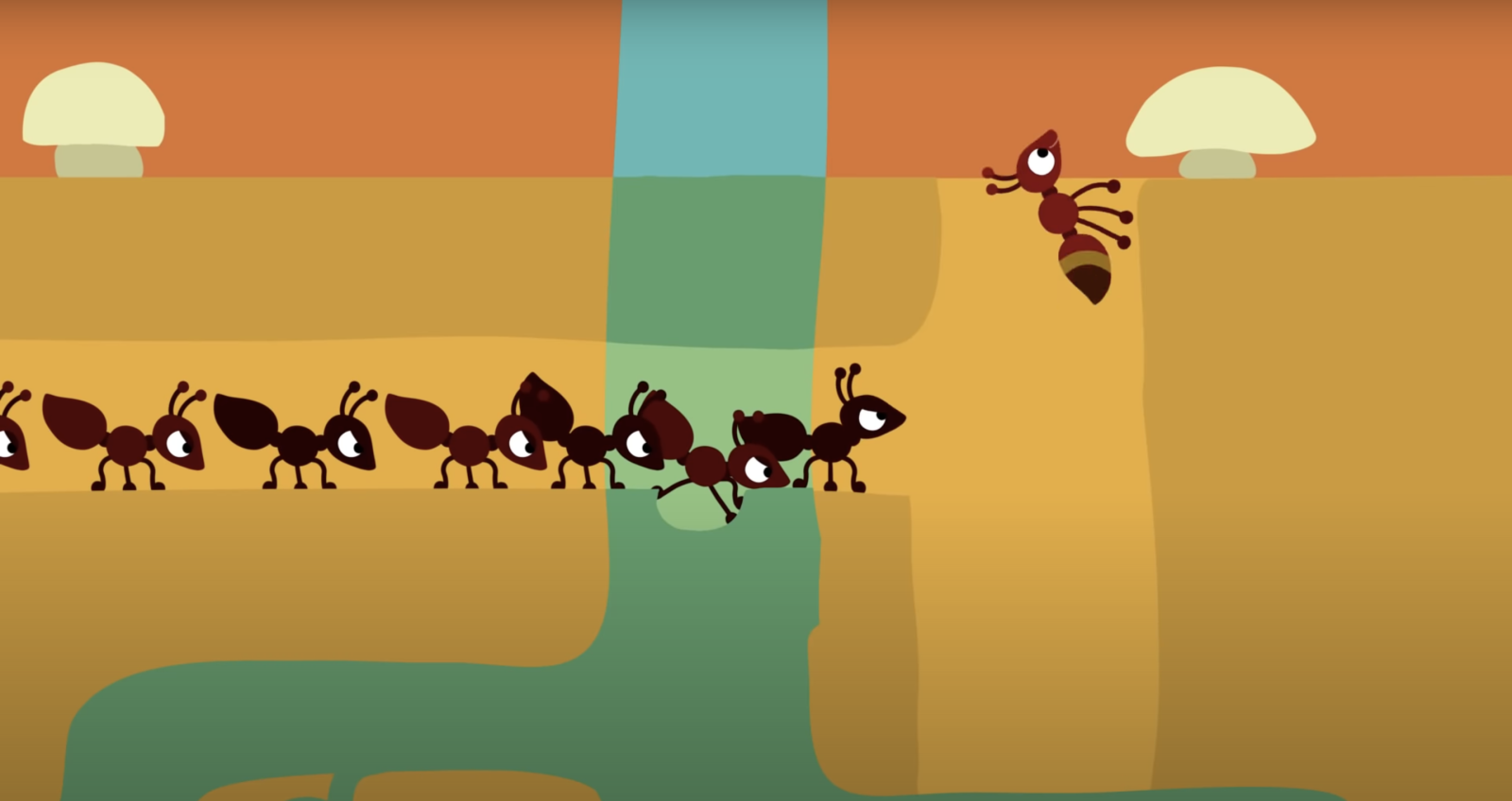 Ant