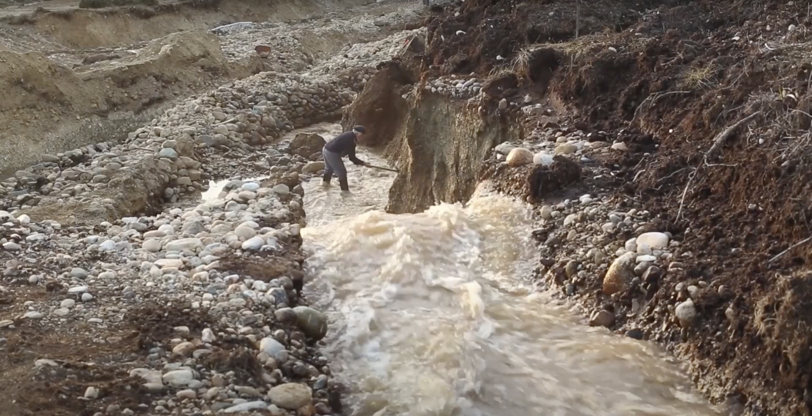 The Fabulous Gold Harvesting Machine