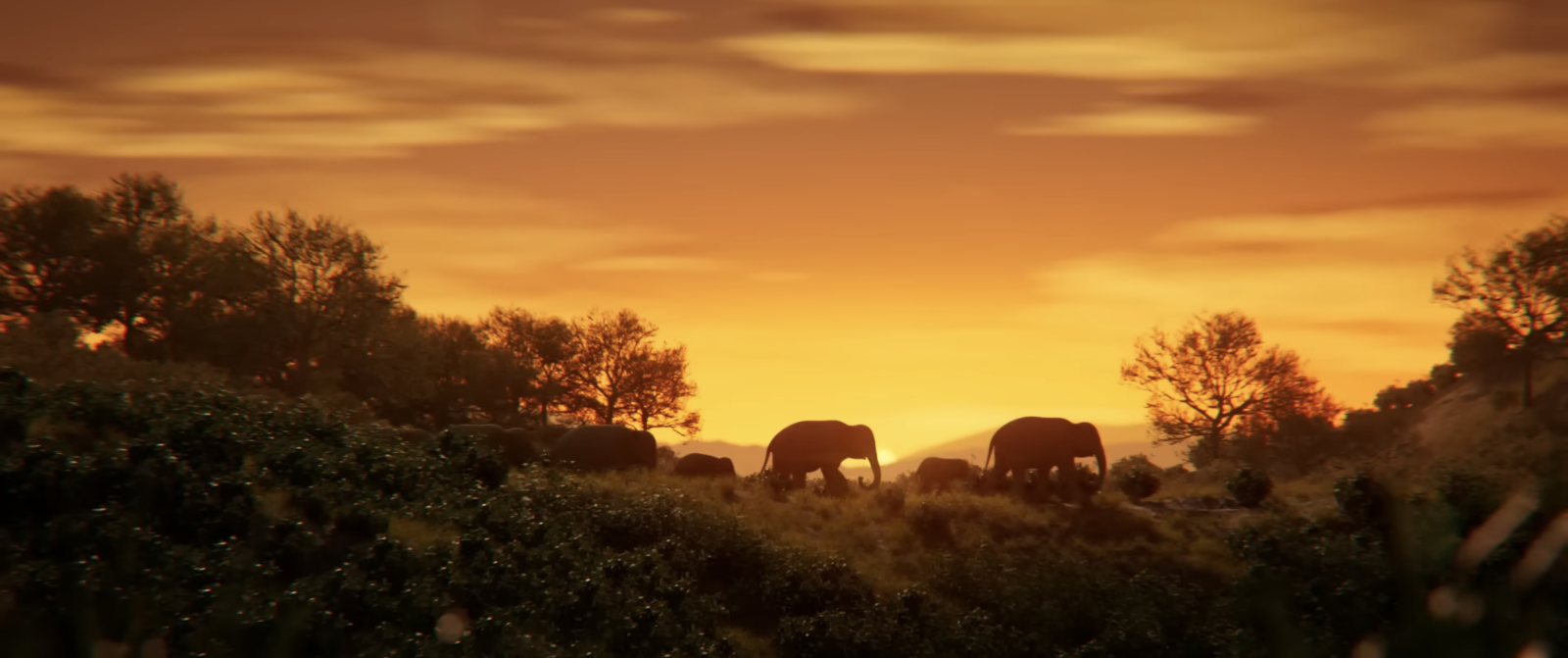 Elegy of Elephant