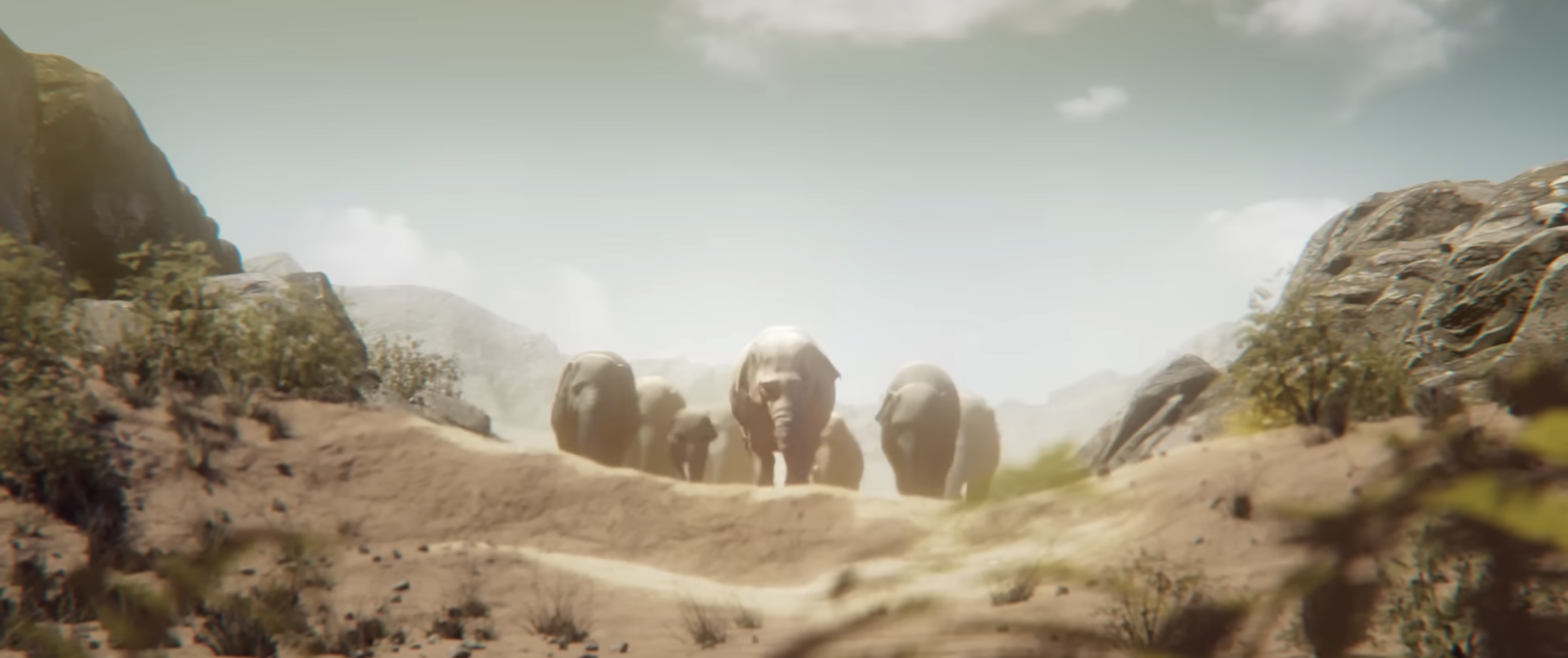 Elegy of Elephant
