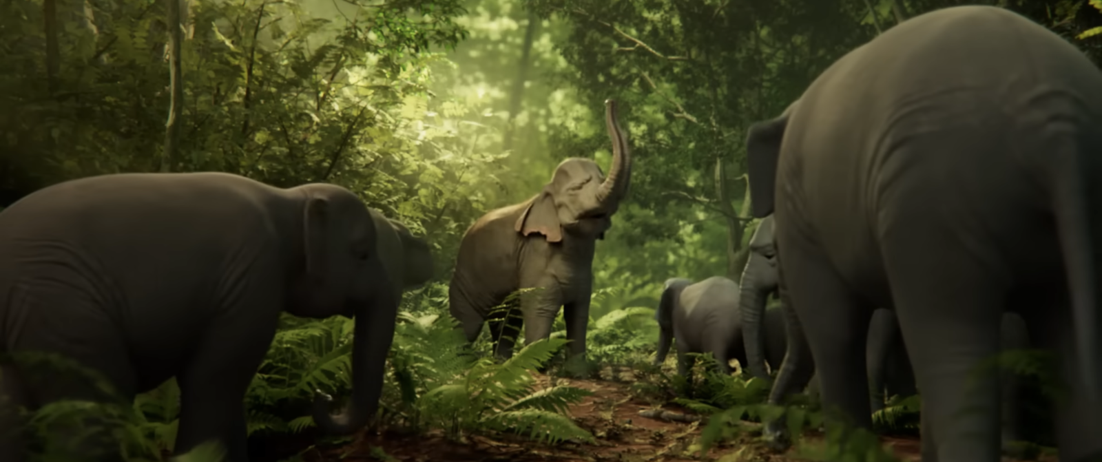 Elegy of Elephant