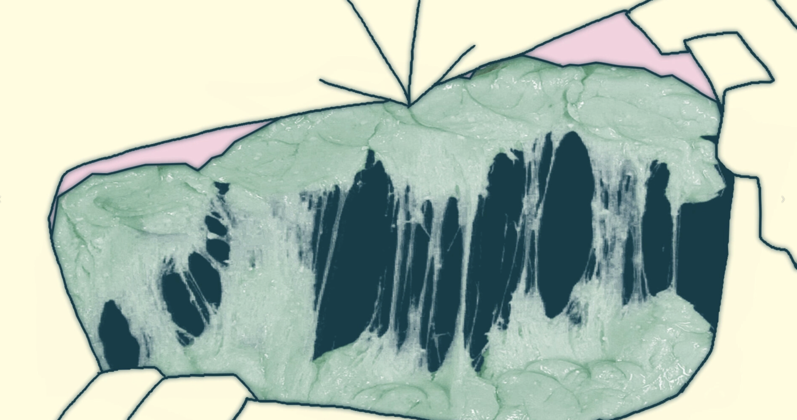 Gum