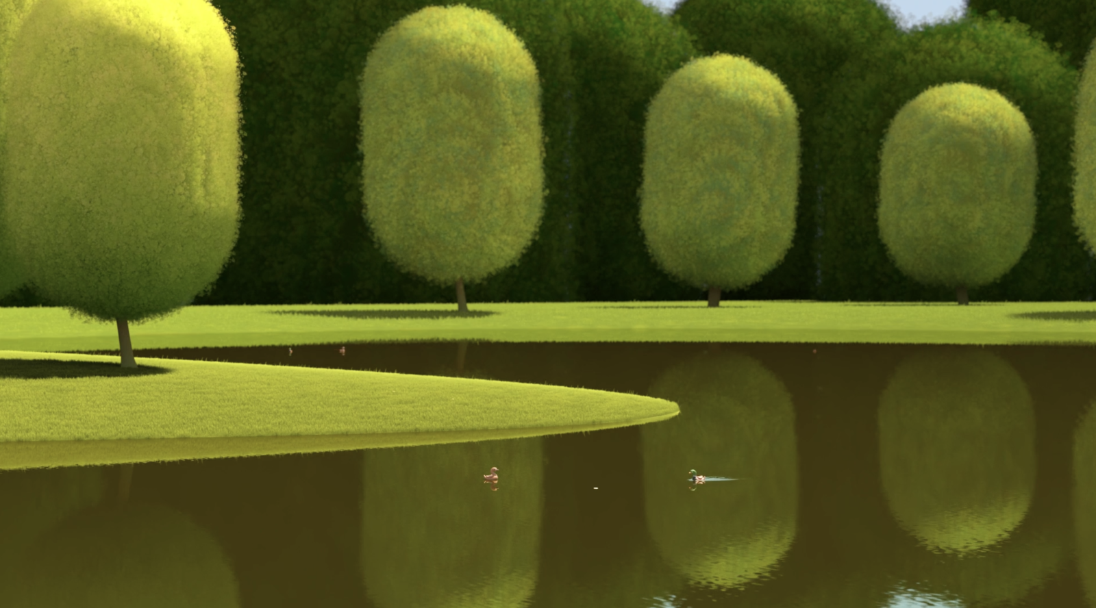 Ducks