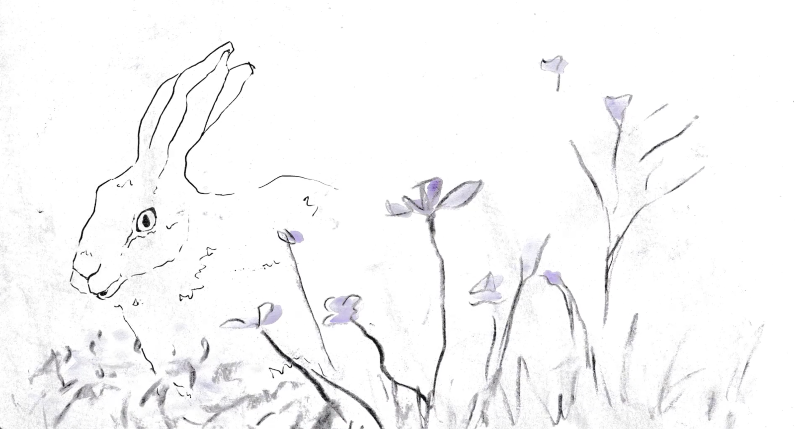 Strokes of Wildflowers