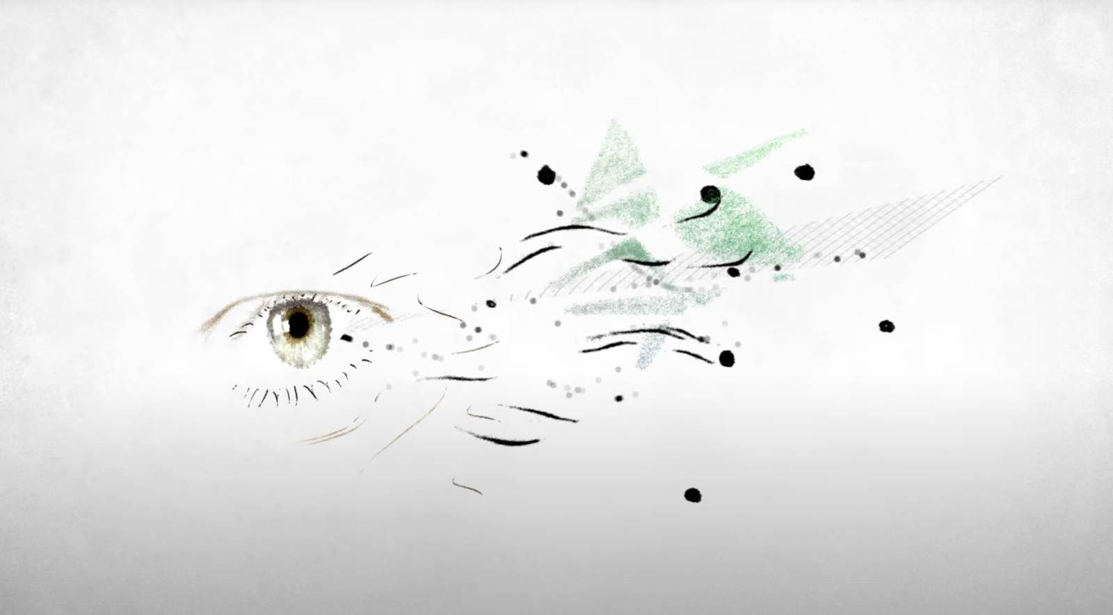 Do I See What You See?