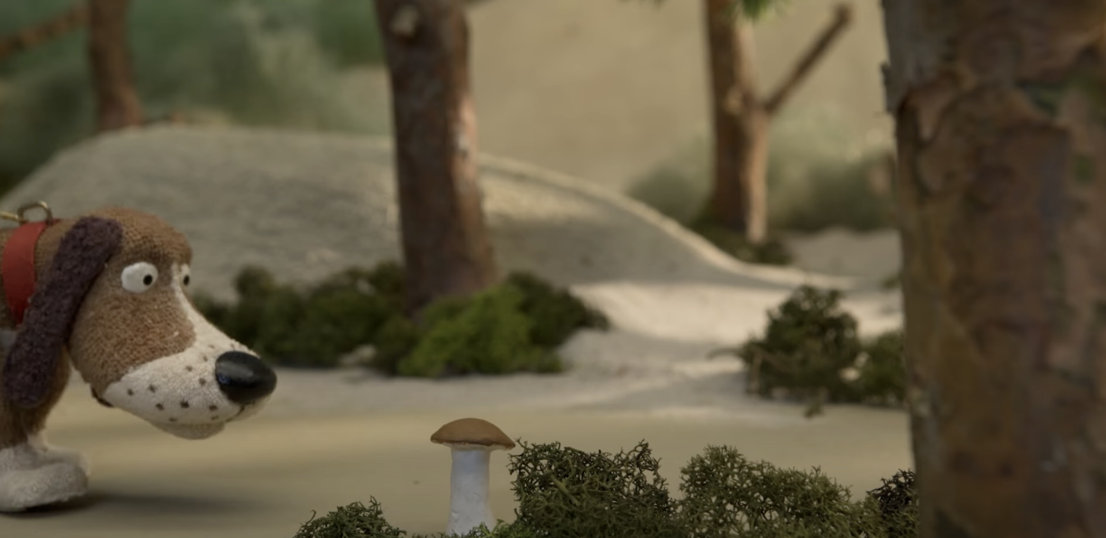 Mushroom’s Life