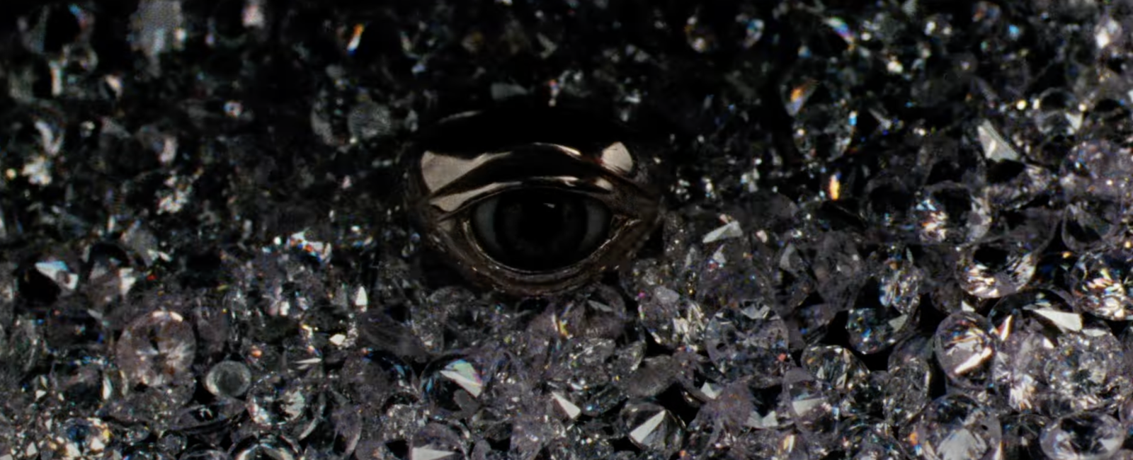 Reflection in a Dead Diamond