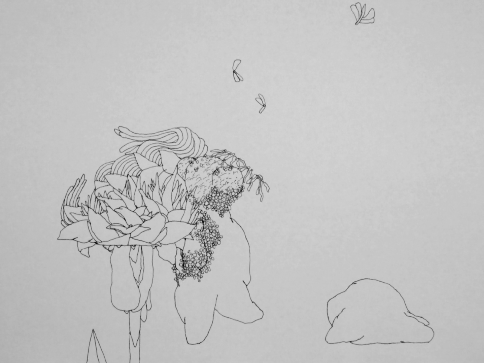 Deluge