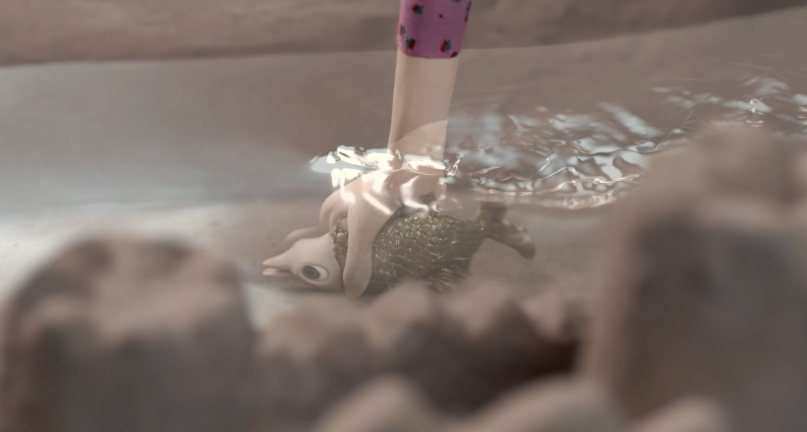 The Pool or Death of a Goldfish