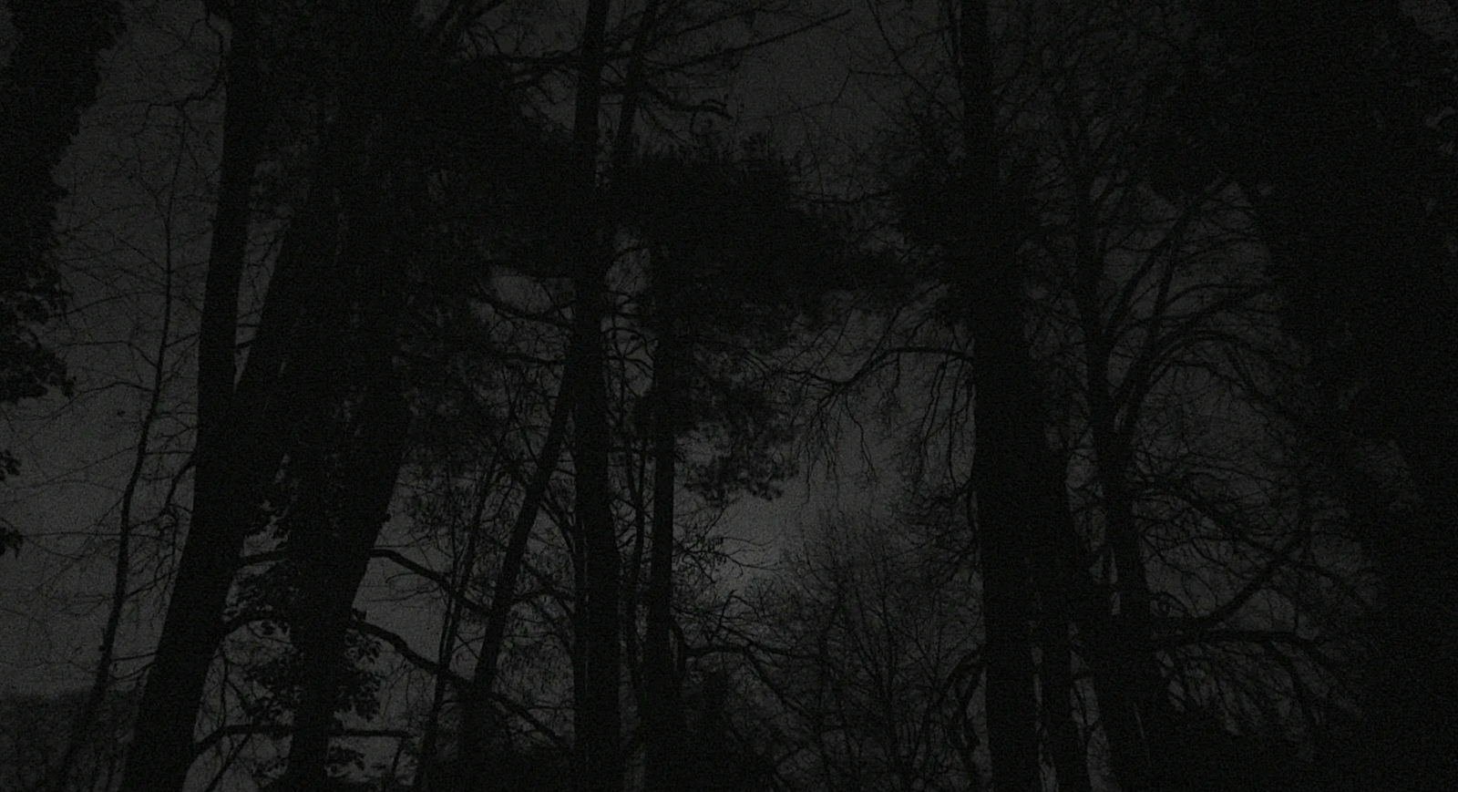 Obscure Night – “Ain’t I a child?”