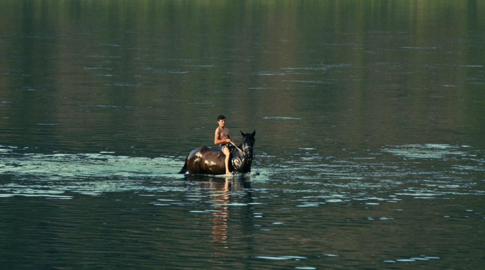 Silent Flood
