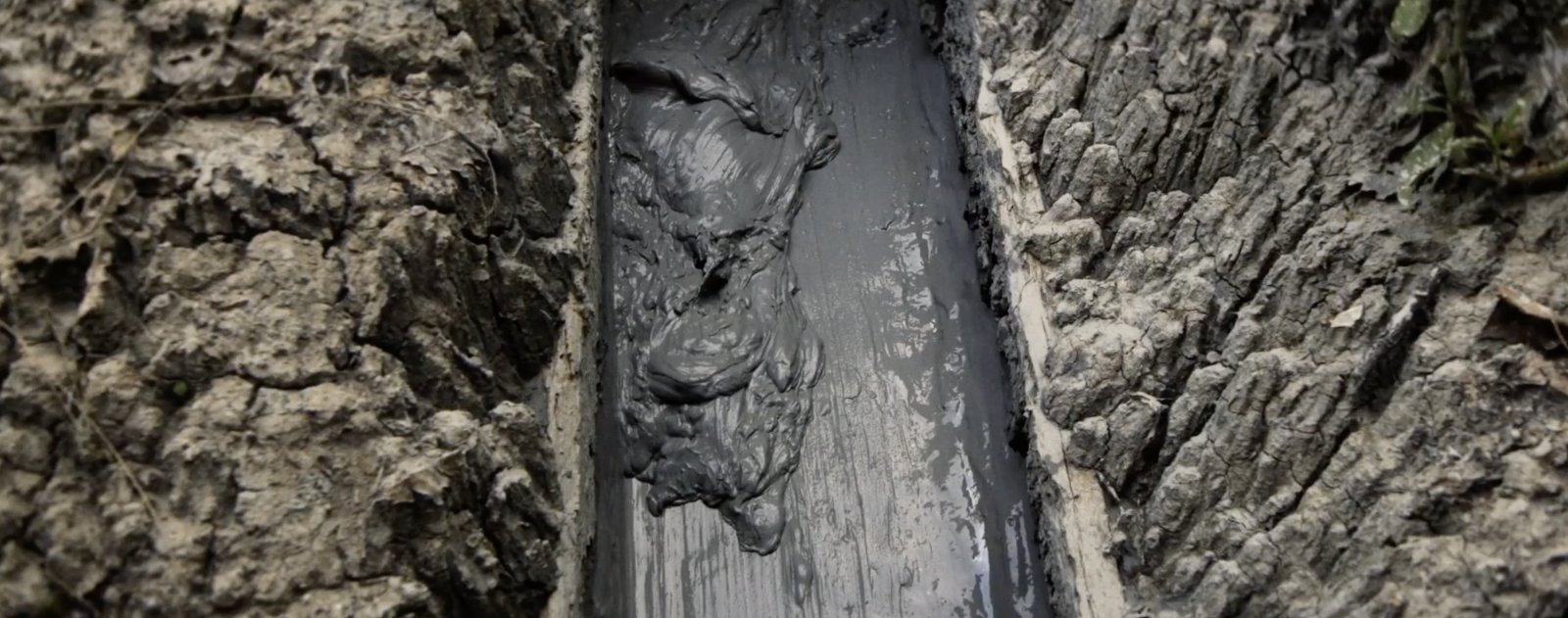 What Does the Mud Whisper?
