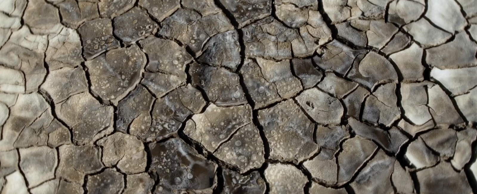 What Does the Mud Whisper?