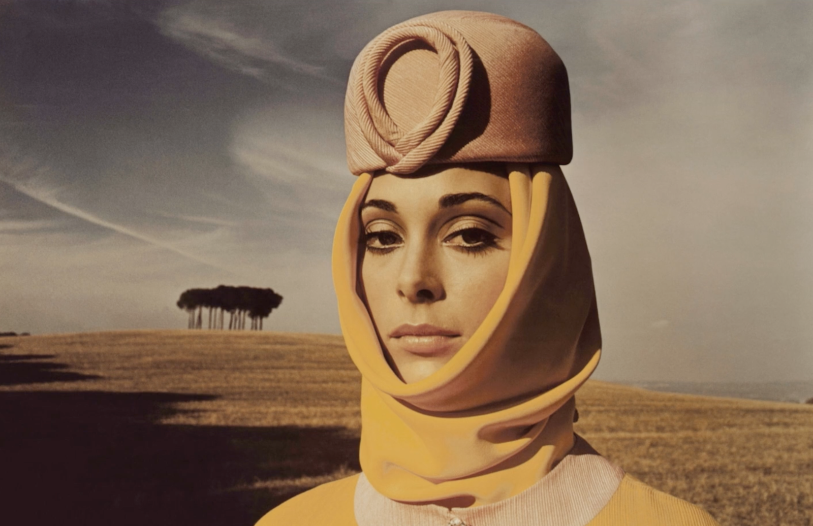 Panoramic View: Portrait of the Artist Francine Tint