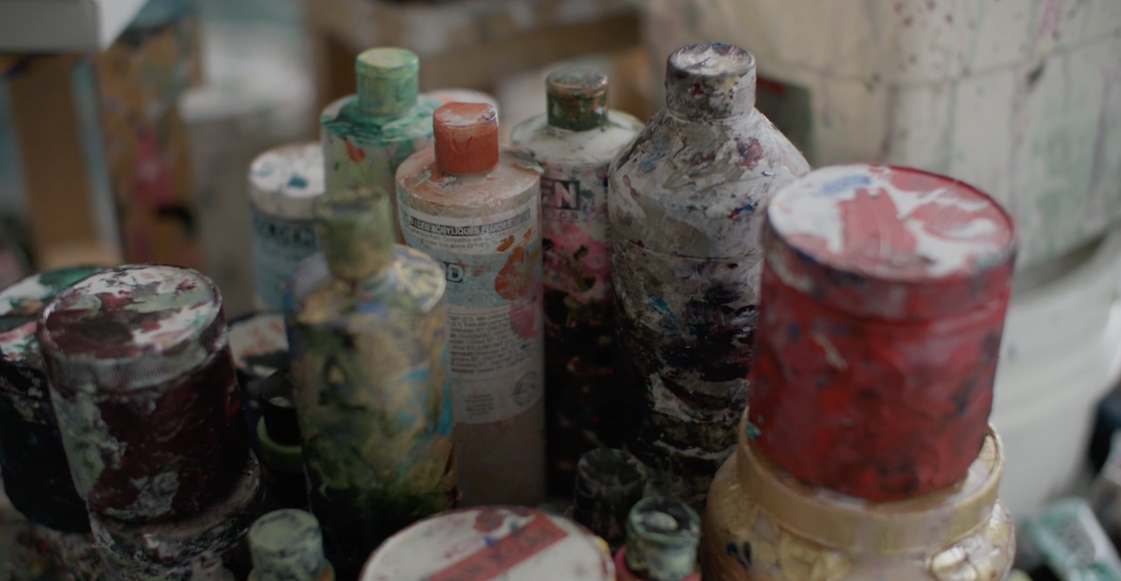 Panoramic View: Portrait of the Artist Francine Tint