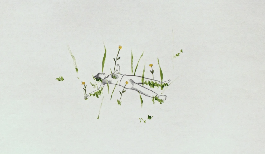 Wildflower