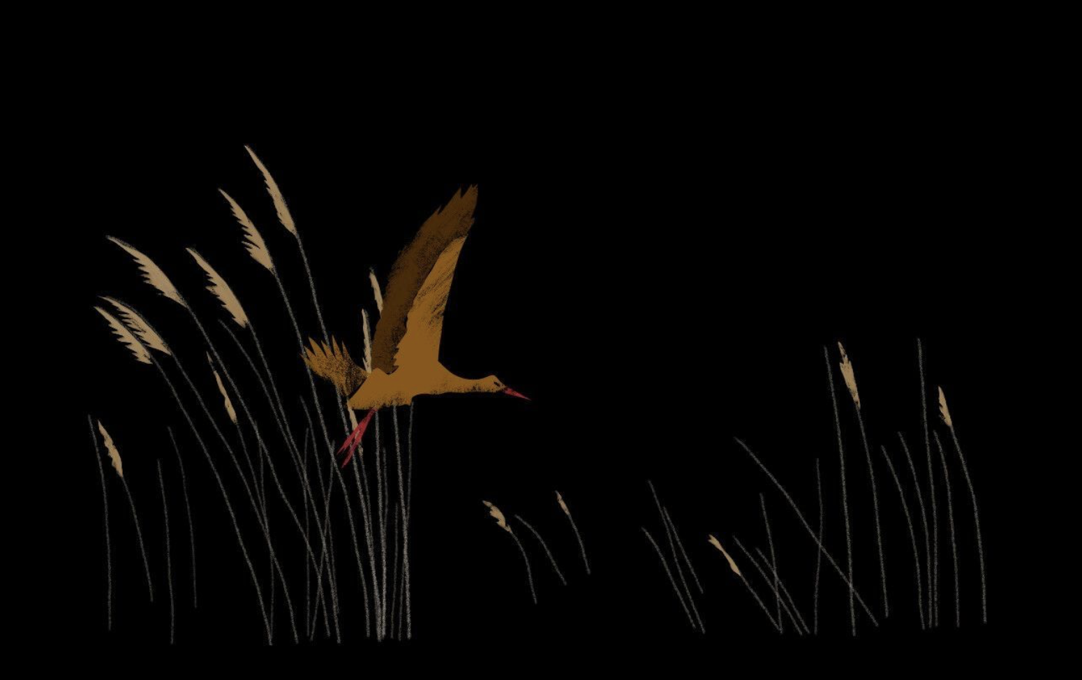 The Weaver