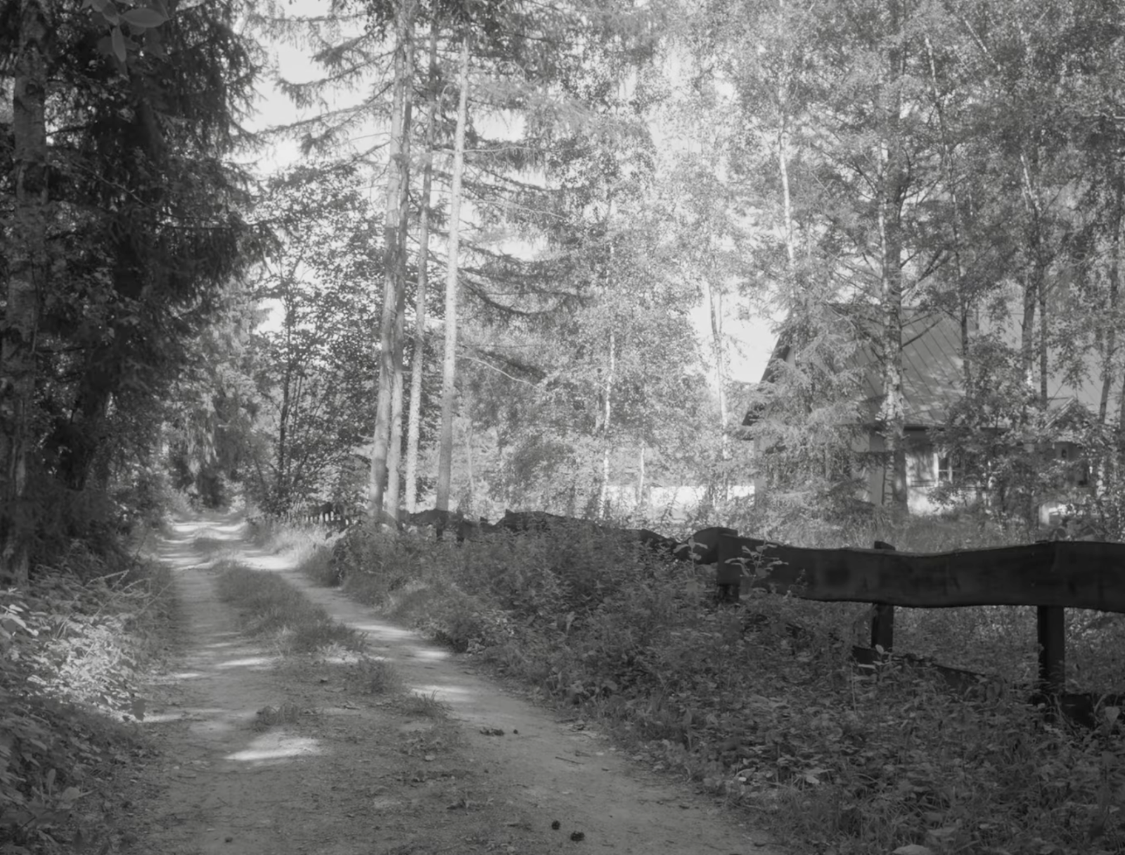 Liminal