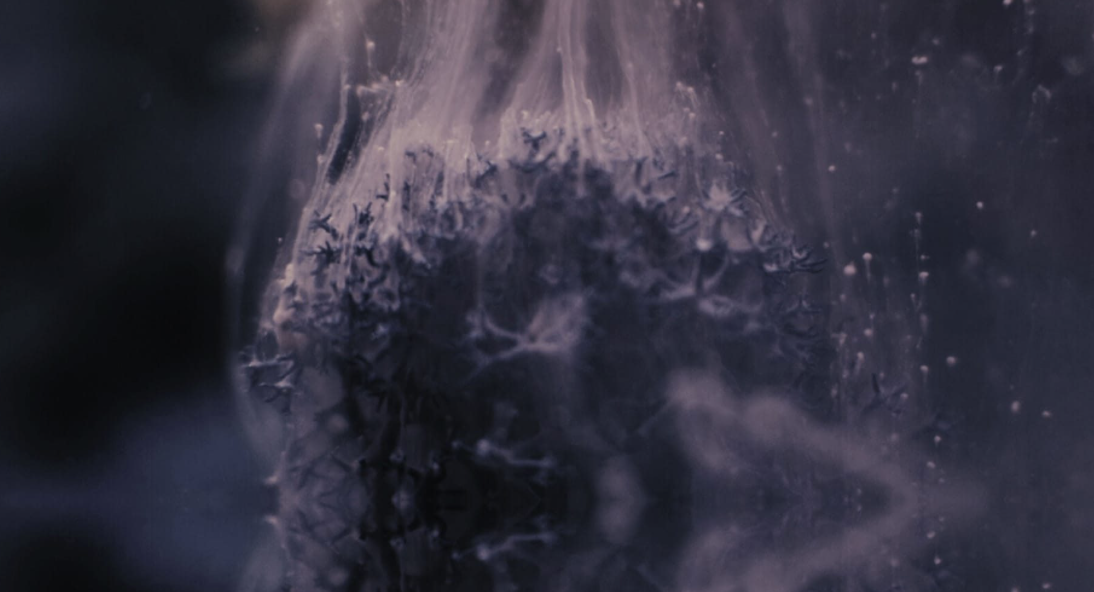 Beyond the Facade