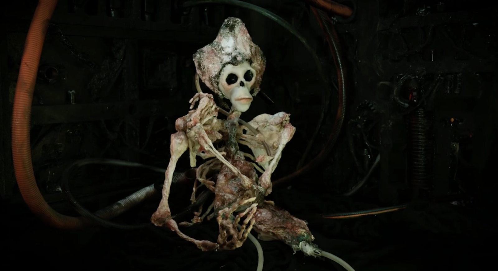 Our Lady of Rot