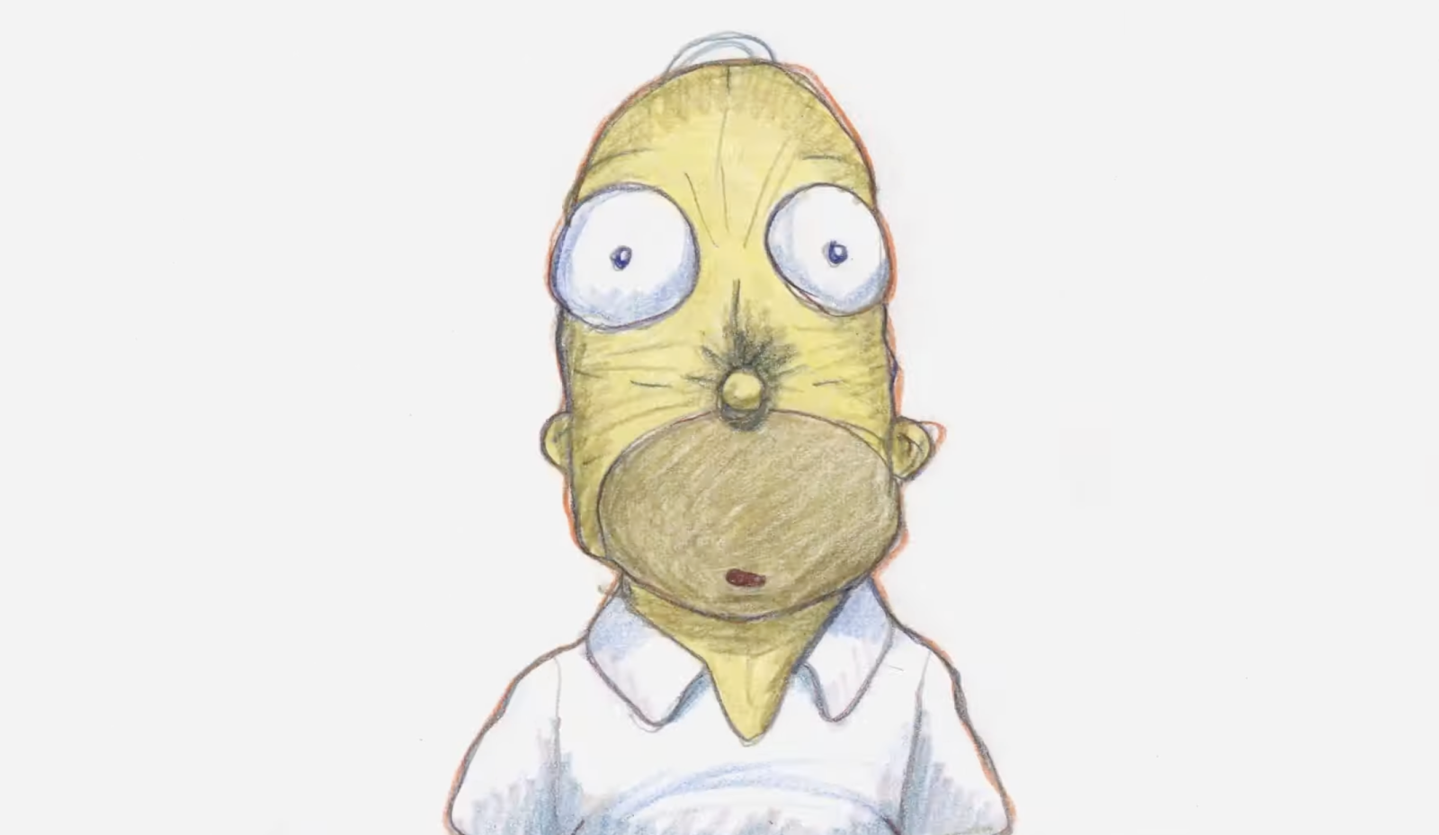 Homer's Face