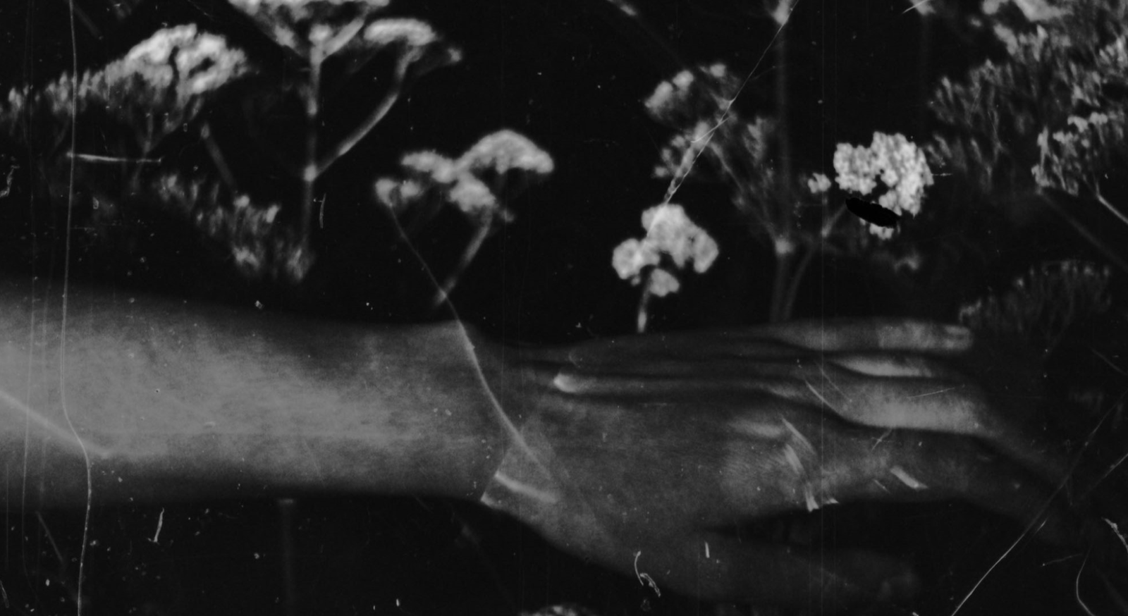 (for once I dreamed of you)