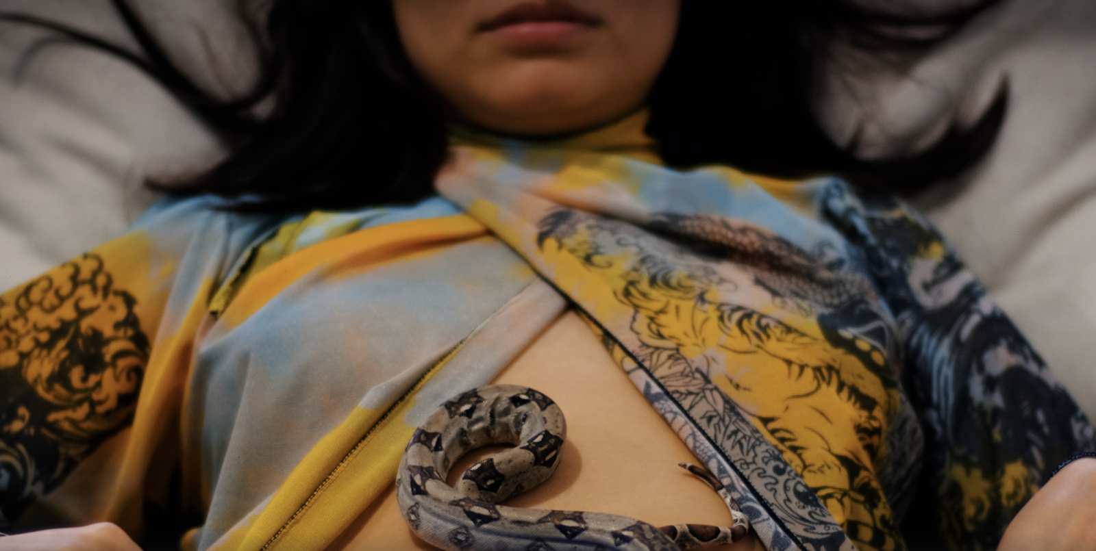 Soñar una serpiente